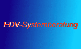 EDV-Systemberatung